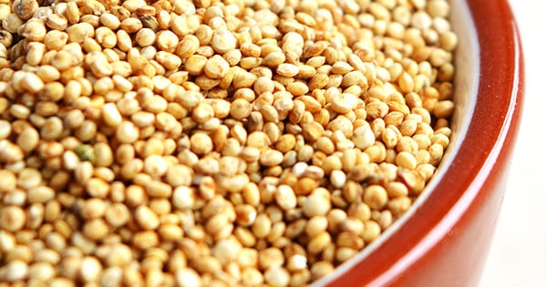 quinoa