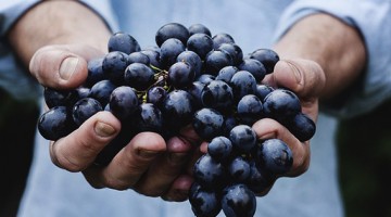 Emagrecer Uvas